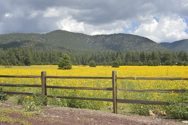 Flagstaff, Arizona