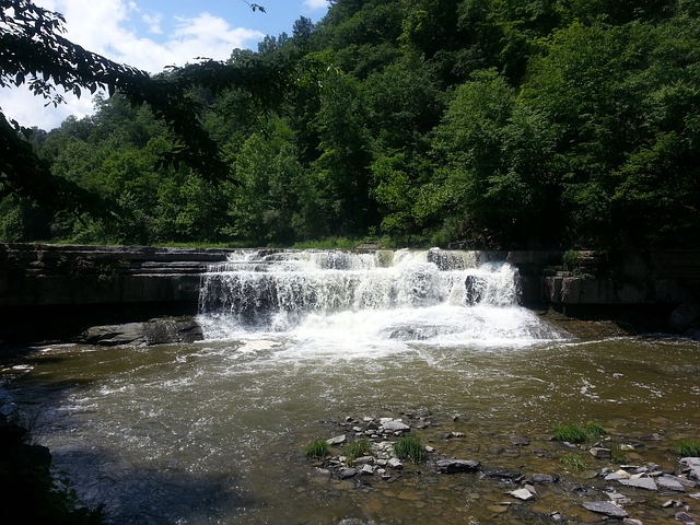 Ithaca, New York