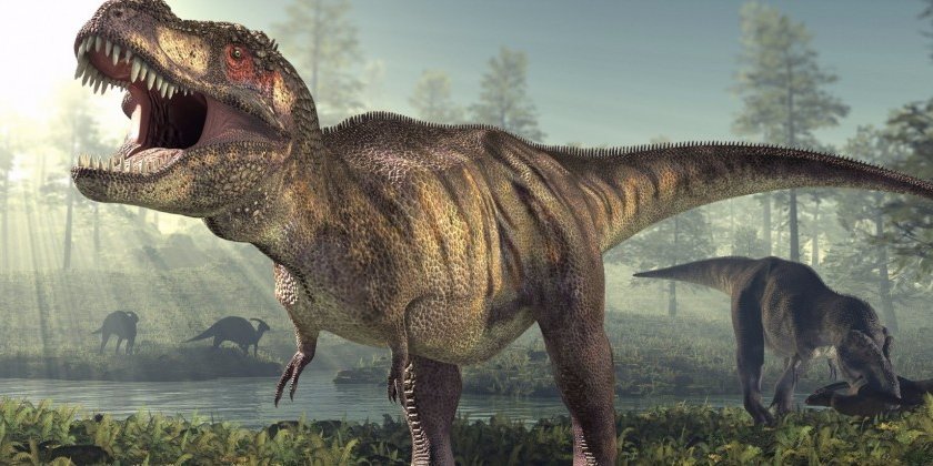 dinosaurs - strange college classes