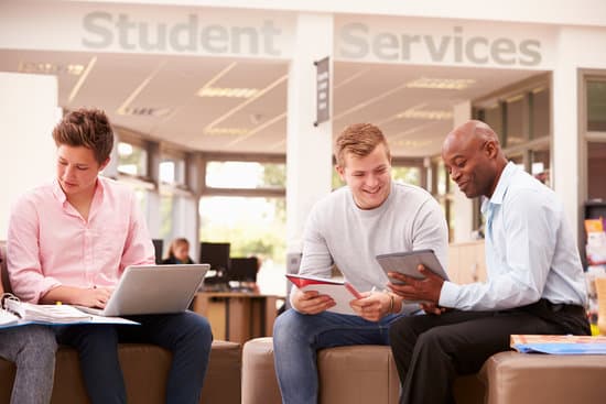 College Student Having Meeting With Tutor To Discuss Work