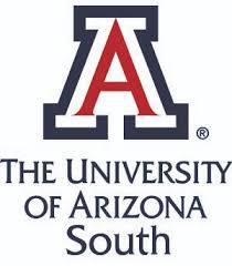 university of arizona south - bachelor's degree in childhood education