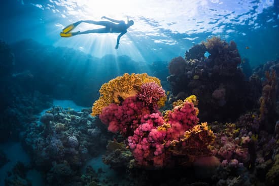 Marine Science info