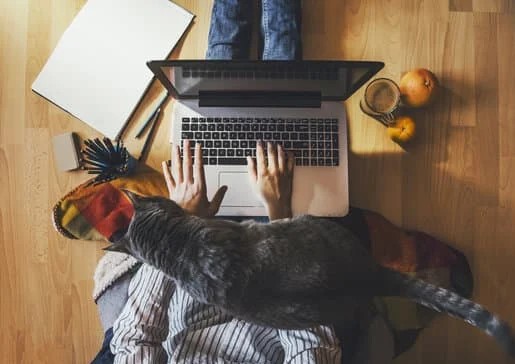 college online learning