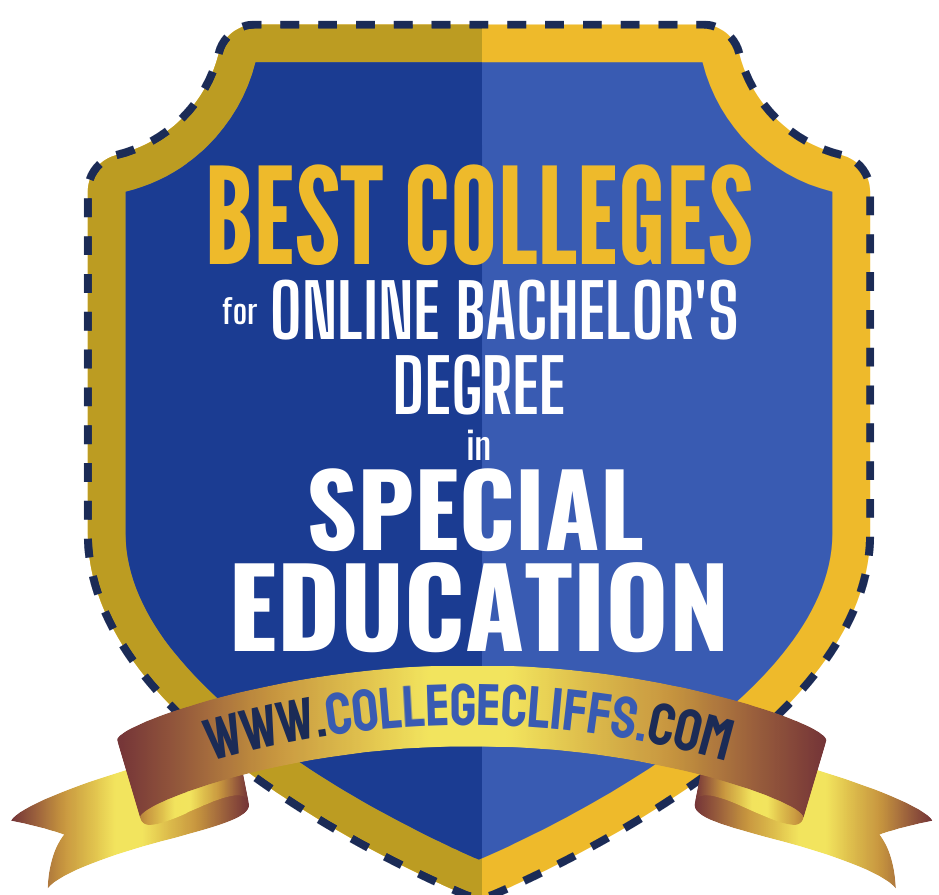 What Can You Do With A Special Education Degree What Do Education 