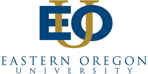 Bachelor's in English/Writing