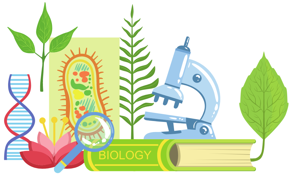 Biology the right degree choice - element 2