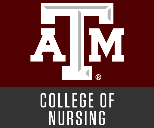 Online Nursing (RN to BSN) Bachelor's Degree