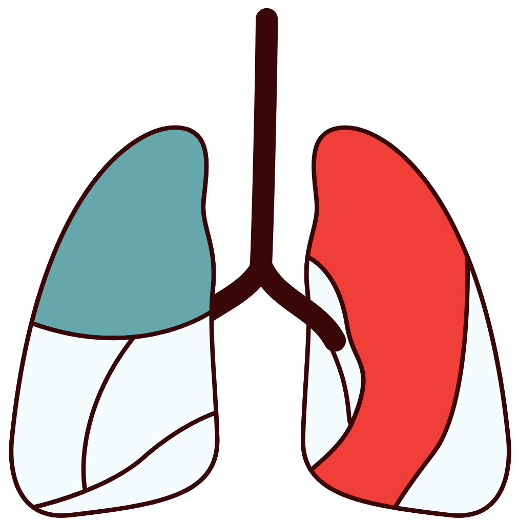 Respiratory Therapist - Divider