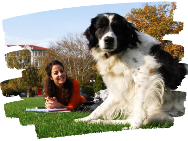 Best College Degrees For Animal Lovers In 2022 - Image Cover