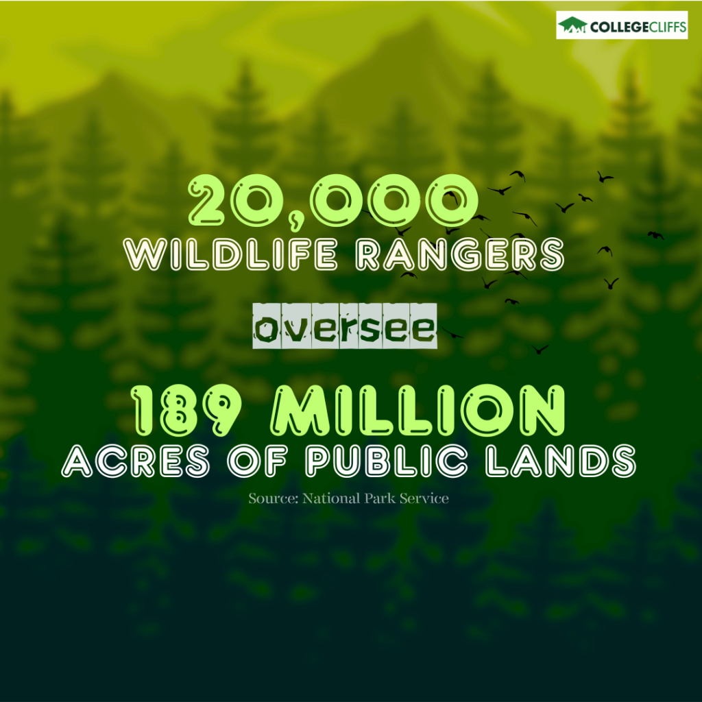 Best Colleges With Degrees To Qualify To Be A Wildlife Ranger - Wildlife Rangers on Acres of Public Land