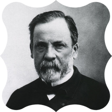 3-Louis Pasteur
