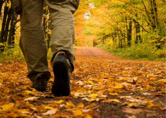 college student taking a walk
