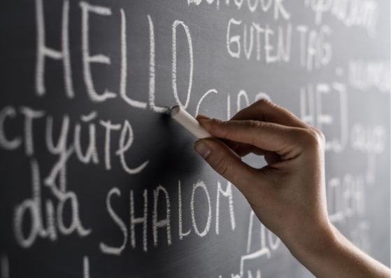 translated words written on blackboard - tutor or translator in college