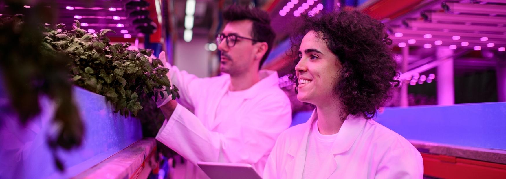 colleges that teach aquaponics - featured image