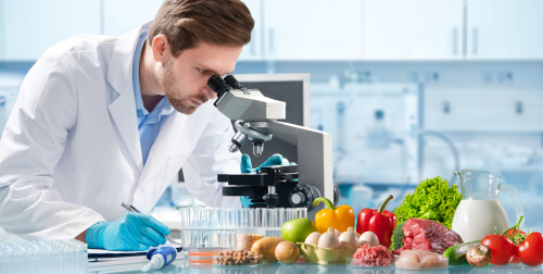 Online Food Science Bachelor's Degrees