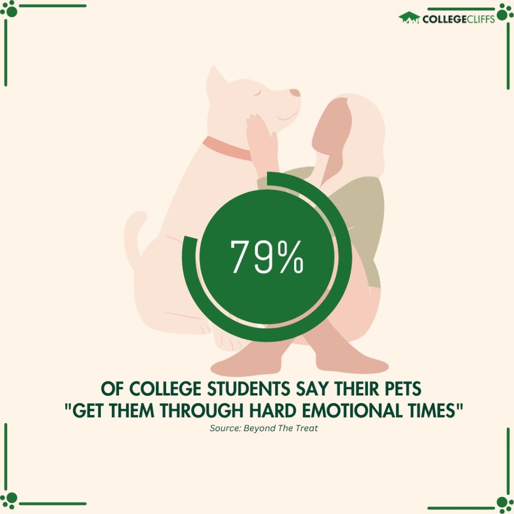 Pet-Friendly College Dorms - Pets Get Students Through Emotional Times