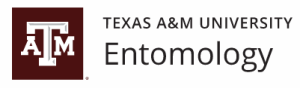 Texas A&M University - Entomology