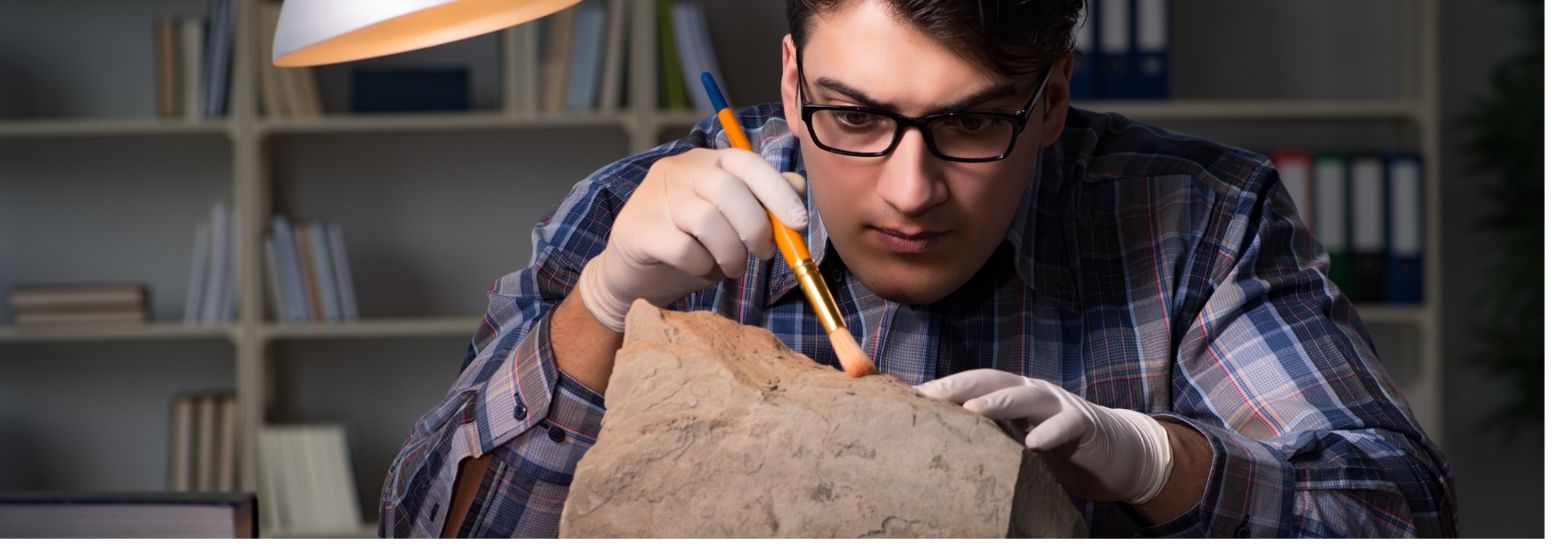 5 Best Online Colleges with Online Degrees in Anthropology