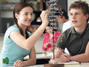 Is a Bachelor's in Science Education worth pursuing?