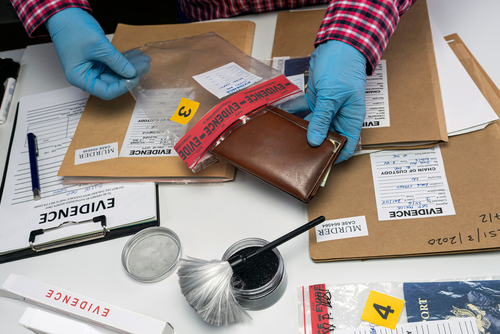 The Most Popular Jobs in Criminal Justice