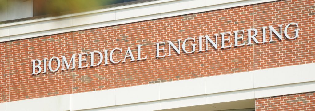 Online Degrees in Biomedical Engineering - featured image