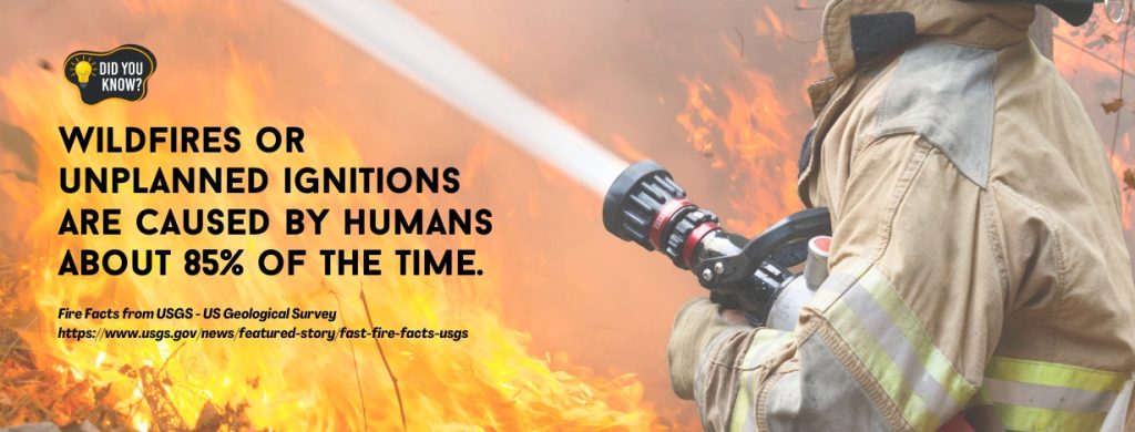 Online Degrees in Fire Science - fact