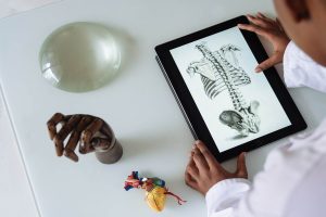 A student studying anatomy on her tablet