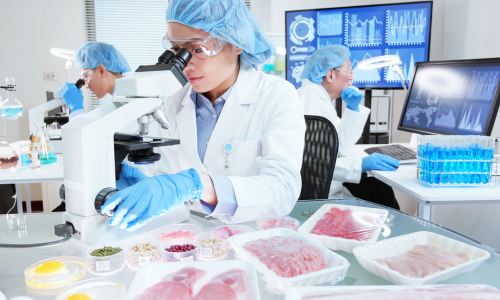 How Can You Get Started in Food Science - Image