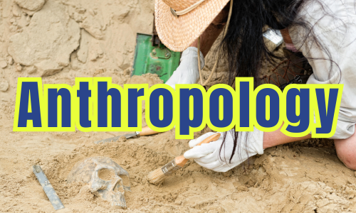 What is Anthropology - Image