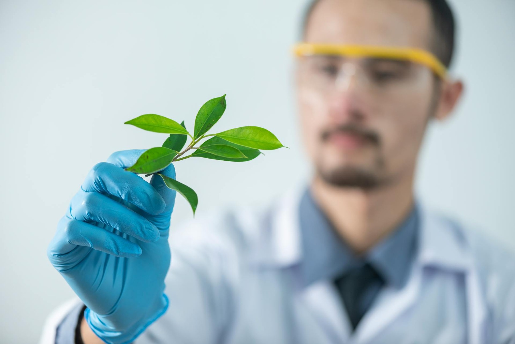 A man in a lab coat holding a plant, conducting research in a laboratory