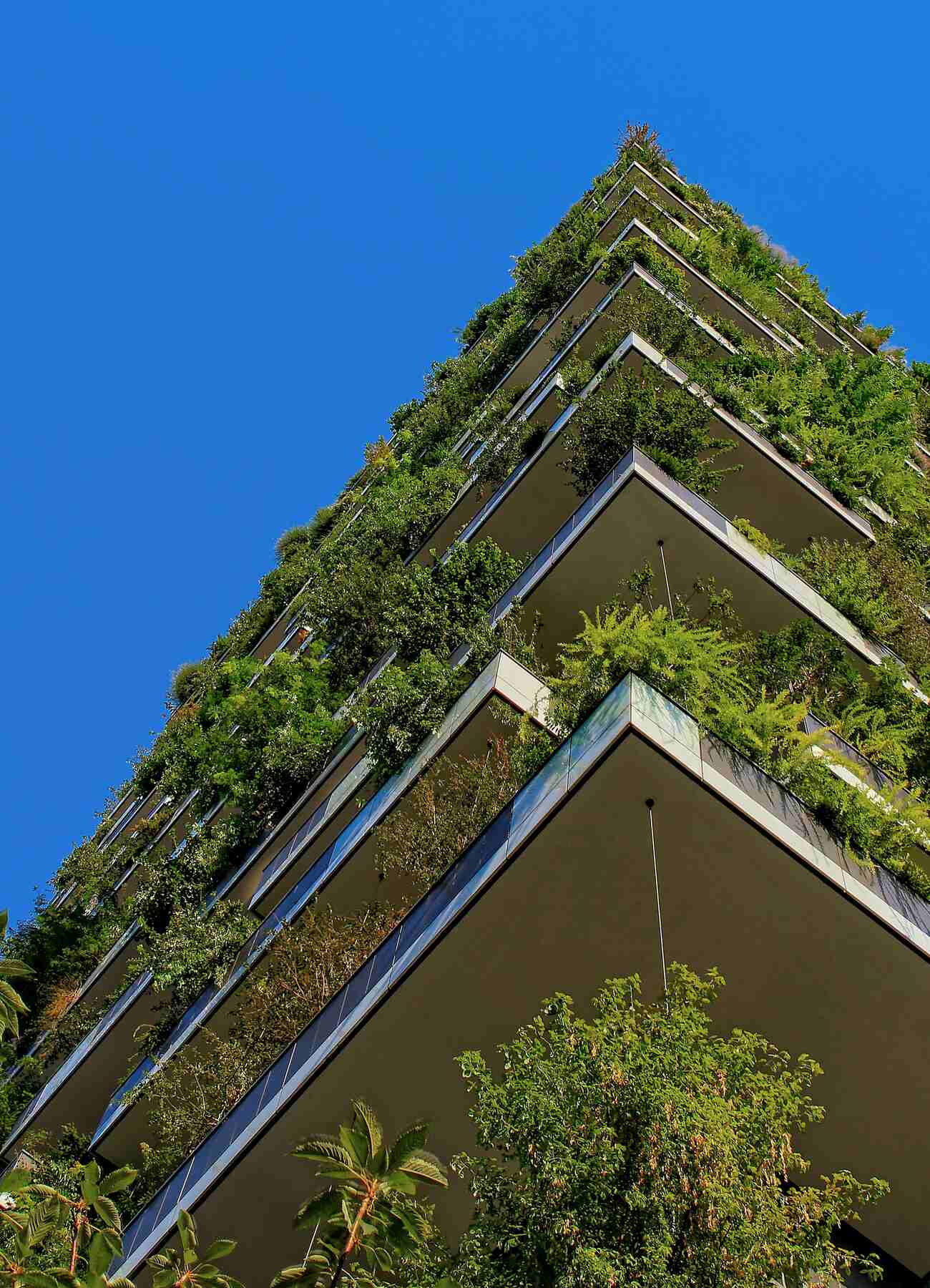 A building with a lush green roof covered in thriving plants