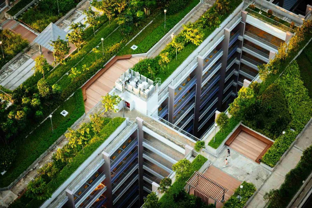 Aerial view of lush green roof on building