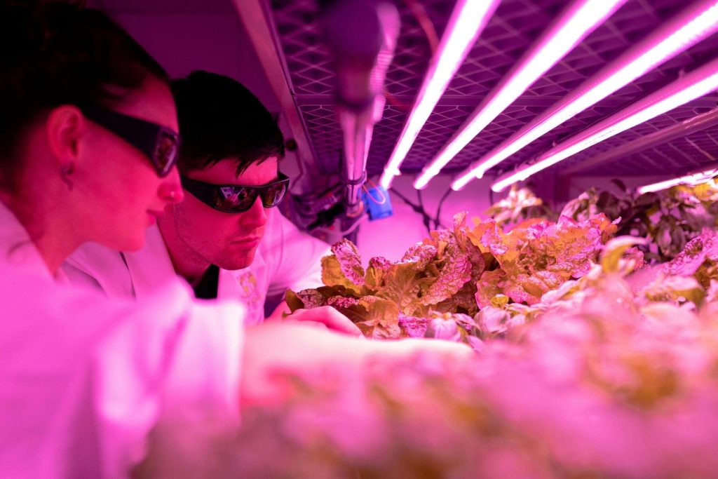 Two scientists wearing safety glasses and white coats are checking crops in a laboratory